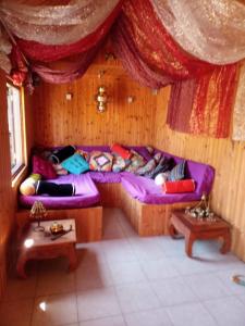 里姆斯特JustB的客厅里设有两张紫色沙发