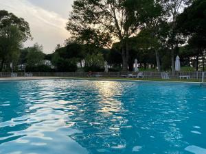 GualtaModerno apartamento en Empordà Golf的公园里的一个蓝色海水游泳池