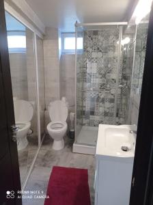 德罗贝塔-塞维林堡Casa Vladimirescu的带淋浴、卫生间和盥洗盆的浴室