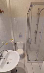 AirouxLa Ginelle - Appartement Bocage的带淋浴、卫生间和盥洗盆的浴室