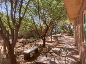 圣佩德罗·德·阿塔卡马Cabañas Pankara的公园里的一群长椅和树木