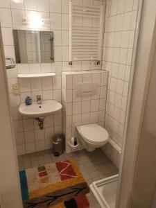 布罗特罗德Ferienhaus am Rennsteig-Pension zur Wetterwarte的一间带卫生间和水槽的小浴室