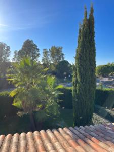 阿尔哈拉克Loft en Huelva的享有花园的景致,花园内种植了两棵树,设有屋顶。