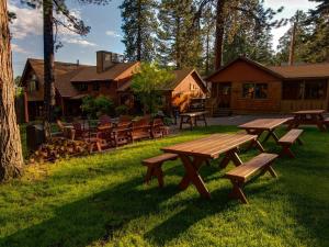 塔霍维斯塔Cedar Glen Lodge的一群野餐桌椅在草地上
