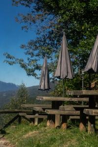 米耶雷斯La Castañar - La Vallicuerra Casas Rurales的山顶上两张带雨伞的野餐桌