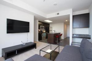 阿林顿Nice 2BR Pentagon City Apartment的客厅配有沙发和墙上的电视