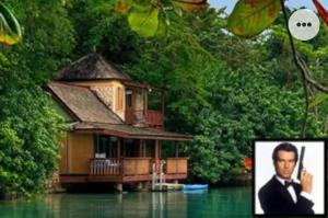 ContentA Piece of Paradise的水中的房子,上面有一张男人的照片