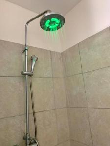 帕皮提Studio Papeete Lodge - Kaoha Nui的浴室设有绿色灯光淋浴