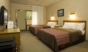 内乌肯Land Express Neuquén的酒店客房设有两张床和电视。