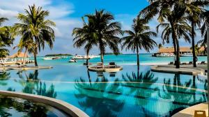 古雷德胡Holiday Inn Resort Kandooma Maldives - Kids Stay & Eat Free and DIVE FREE for Certified Divers for a minimum 3 nights stay的棕榈树和海滩的游泳池