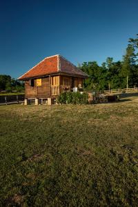 StarčevljaniTiny house AMBAR的草地上的木屋