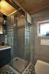 StarčevljaniTiny house AMBAR的带淋浴、卫生间和盥洗盆的浴室
