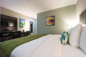 Tobago IslandComfort Inn & Suites Tobago的酒店客房设有一张大床和电视