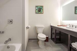 Tobago IslandComfort Inn & Suites Tobago的浴室配有卫生间、盥洗盆和浴缸。