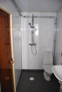 基律纳Private Chalet with Sauna的带淋浴、卫生间和盥洗盆的浴室