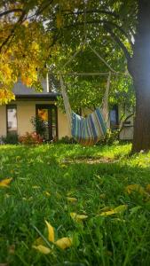 蒂米什瓦拉#outofboxproject tiny-home and garden house的挂在房子前面的树上的吊床