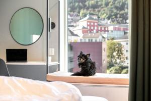 卑尔根Citybox Bergen Danmarksplass的坐在窗边望着窗外的一只黑猫