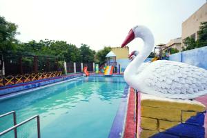 阿杰梅尔Swad Ri Dhani, Ajmer的游泳池边的天鹅雕像