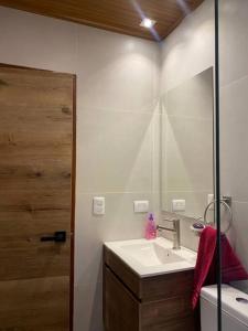苏克雷Americas Apartment的一间带水槽、镜子和卫生间的浴室