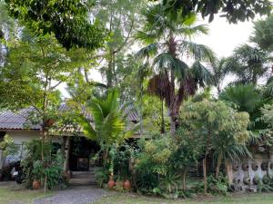 Krua Chehe Resort ครัวเจ๊ะเห รีสอร์ท的前面有棕榈树的房子