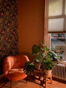 GoedereedeBoetiek hotel Azul的客厅配有椅子和一些植物