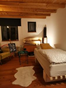 慕尼黑Atelier & Gardenhouse Glamping的一间卧室配有一张床、一张沙发和一张桌子