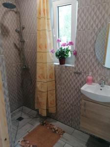 GardeneApartamenti pie Lienes的带淋浴和盥洗盆的浴室