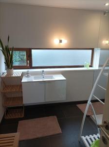 WingeneWoning gelegen in rustige bosrijke omgeving的一间带白色水槽和窗户的浴室