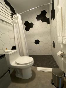 圣胡安Hotel Nest的一间带卫生间和淋浴的浴室