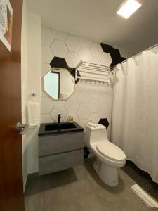 圣胡安Hotel Nest的一间带卫生间、水槽和镜子的浴室