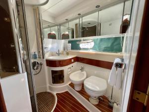 普里茅斯Tranquility Yachts -a 52ft Motor Yacht with waterfront views over Plymouth.的一间带卫生间、水槽和镜子的浴室