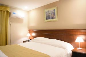门多萨门多萨丽兹酒店的一间卧室配有一张带木制床头板的床