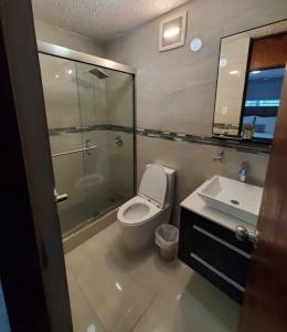 圣胡安Luxury 3-bedrooms near airport in San Juan的浴室配有卫生间、淋浴和盥洗盆。