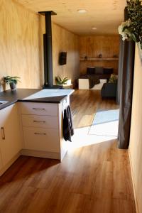 马斯特顿Luxury Container Cabin的一间带炉灶的厨房和一间客厅