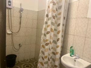 阿拉米诺斯Traditional Filipino Home near 100 Islands Wharf的浴室配有淋浴帘和盥洗盆。