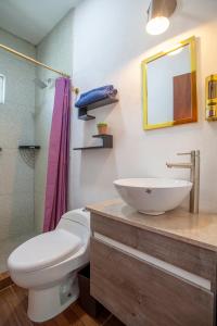 库奥特拉莫雷洛斯Casa con alberca privada y jardin的一间带水槽、卫生间和镜子的浴室