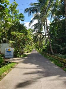 曼巴豪Camiguin Lanzones Resort的一条棕榈树在路边