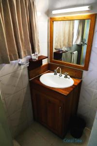 莱城胡恩海湾酒店的一间带水槽和镜子的浴室