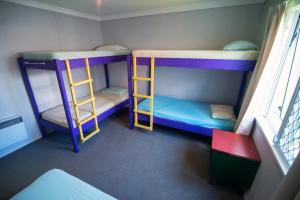 派西亚Centabay Lodge and Backpackers的小型客房设有两张双层床和窗户。