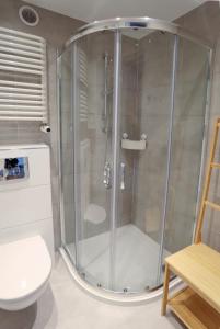 杜什尼基-兹德鲁伊Apartament Rosiczka的一间带卫生间的浴室内的玻璃淋浴间