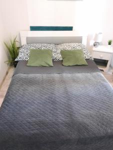 卢宾Apartament Leśny的卧室内的一张带两个绿色枕头的床