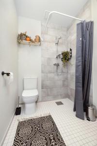 塔尔图Peetri Apartments的带淋浴、卫生间和浴帘的浴室