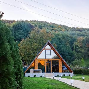 CoţofăneştiCabana A-frame Nis的田野中间的大型木屋