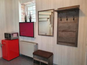 斯维斯塔尔Gemütliches Zimmer mit eigenem Bad und Küche的一间设有红色冰箱和镜子的客房