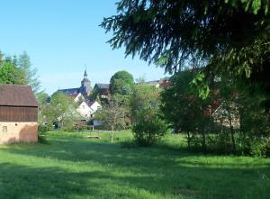 本讷肯施泰因Ferienwohnung "Loni"的一片绿草,后面有村庄