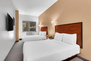 纽约纽约莱克斯酒店的酒店客房设有两张床和电视。