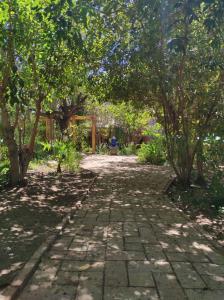 皮斯科艾齐El Jardín Secreto-Pisco Elqui的树木花园中的石头路径