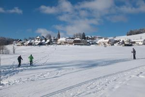 蒂蒂湖-新城Haus Buron的三人在雪覆盖的城镇越野滑雪