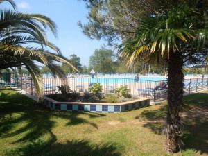 昂代Appartement Hendaye, 1 pièce, 4 personnes - FR-1-2-303的一个带围栏和两棵棕榈树的游泳池