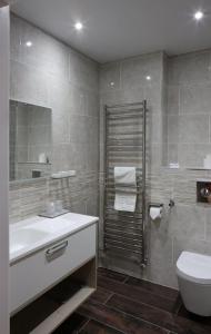 卡迪根The Teifi Waterside Hotel的一间带水槽和卫生间的浴室